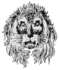 Голова льва впрям
